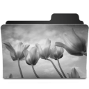 Tulips Black & White Icon 128x128 png